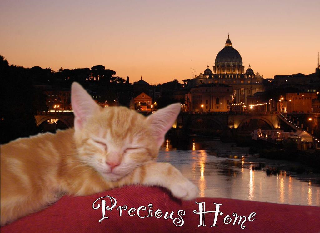 Precious Rome